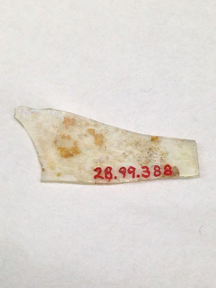 Object Image