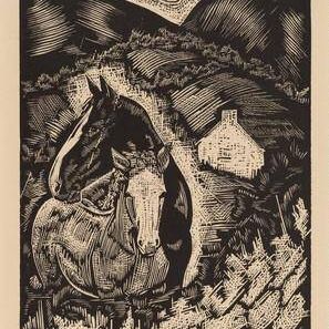 Untitled (Two Horses in a Hilly Landscape, Ireland)