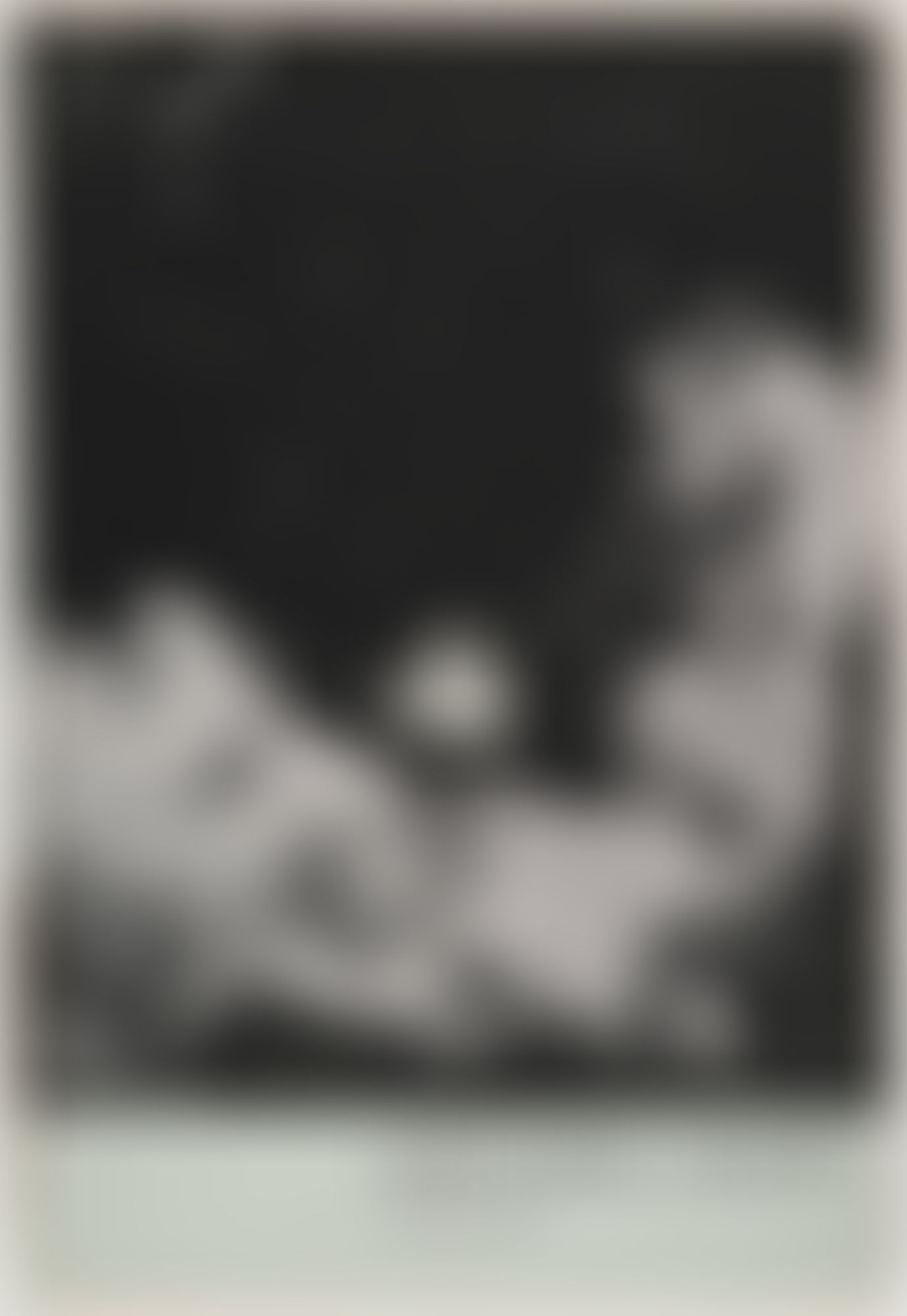 Object Image