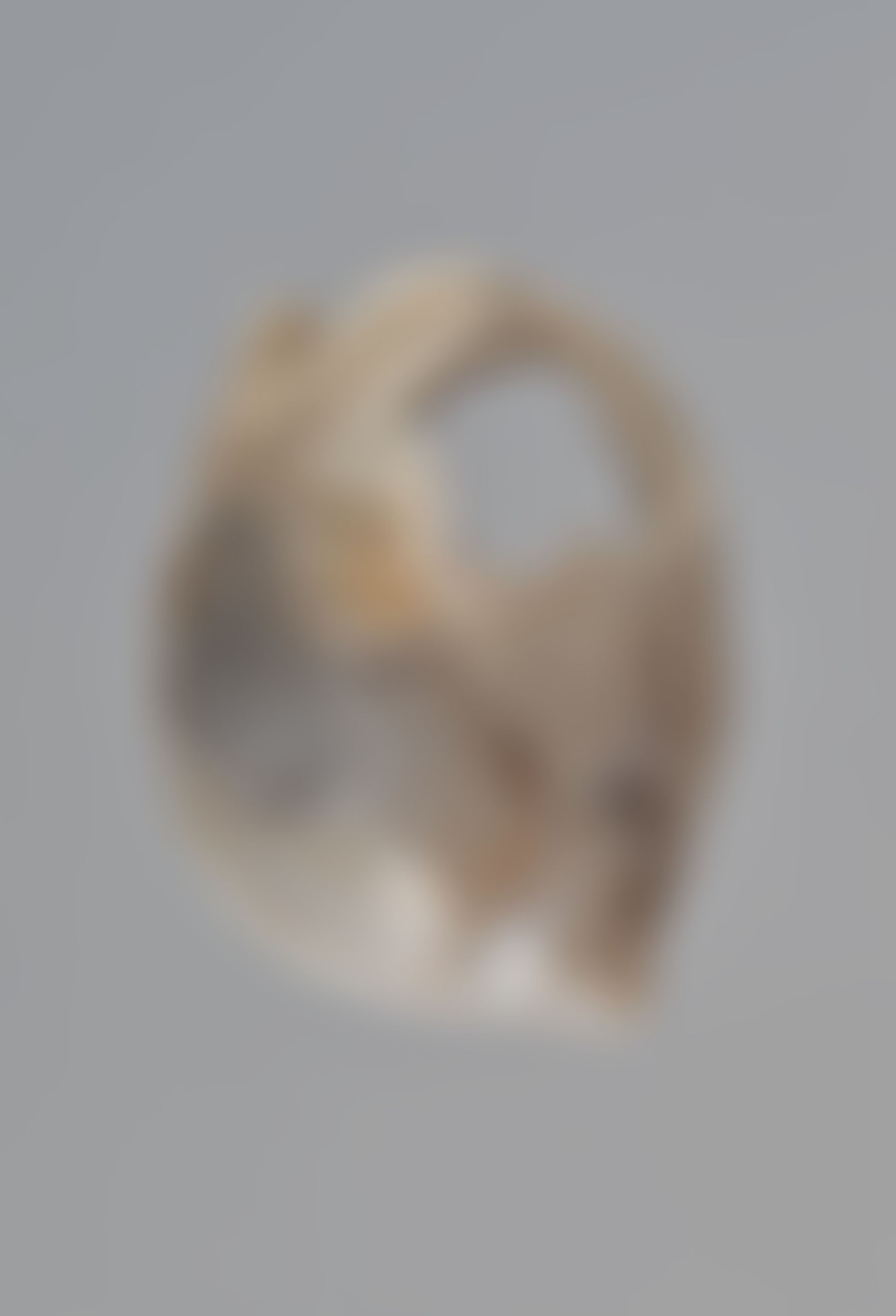 Object Image