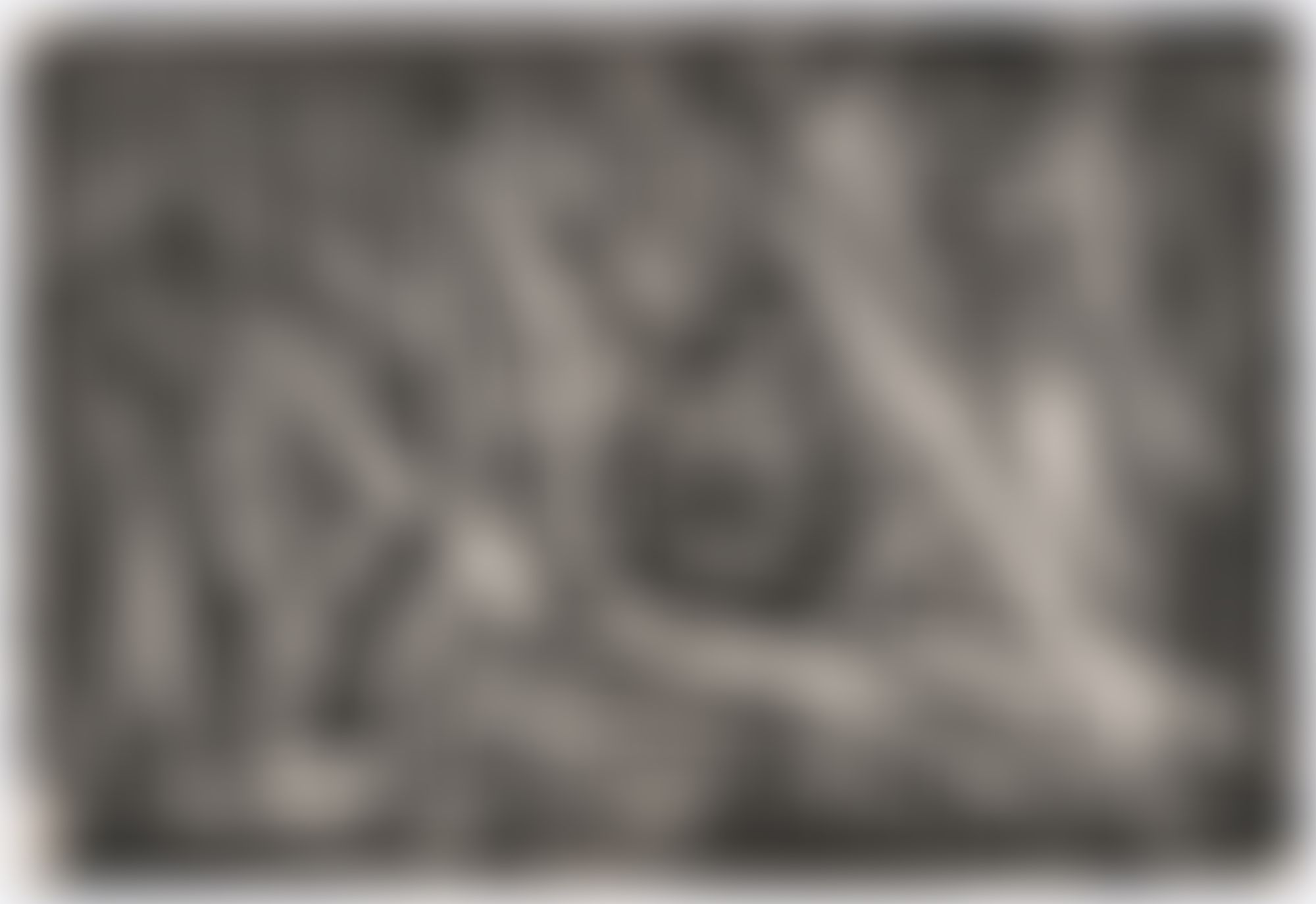 Object Image