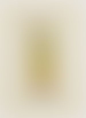 Object Image