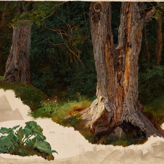 Study of Trees