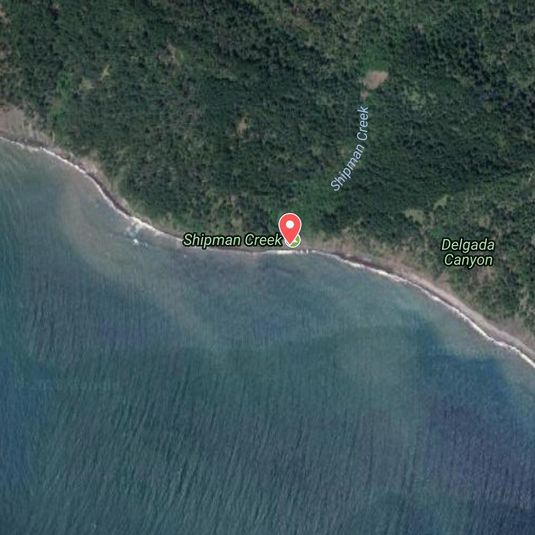 Matt Swinging between Trees, Lost Coast, California