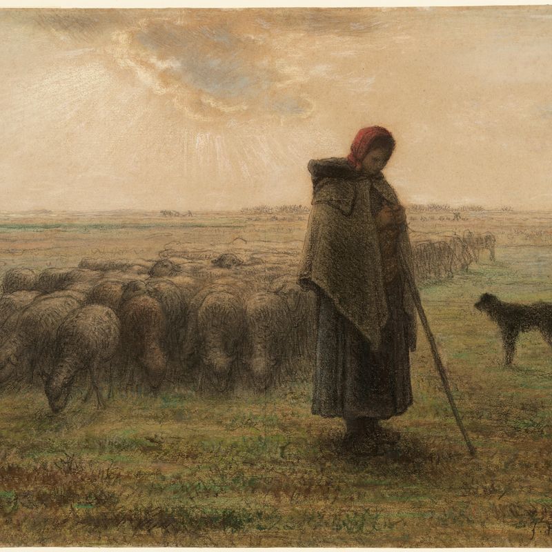 Shepherdess and Her Flock