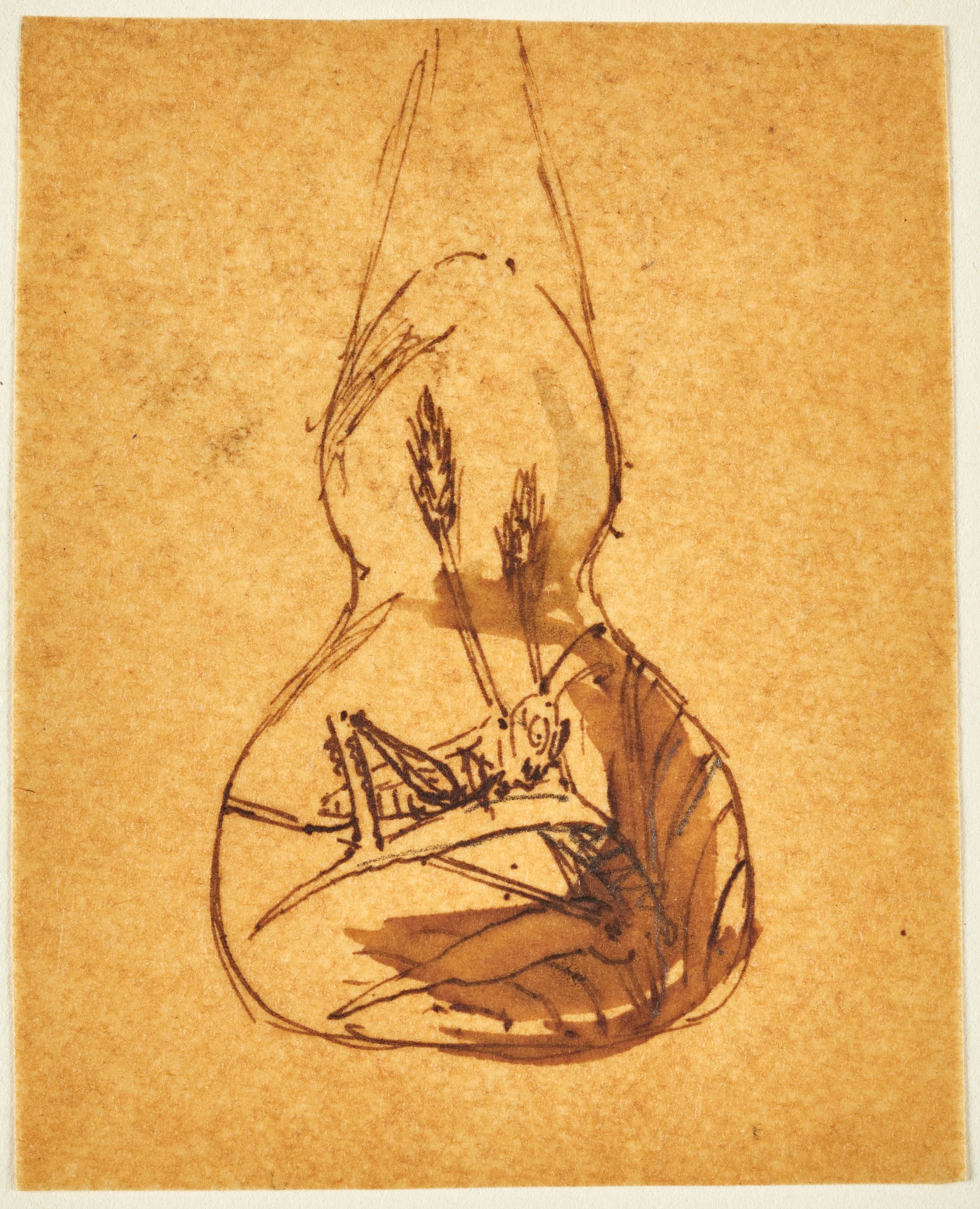 Object Image