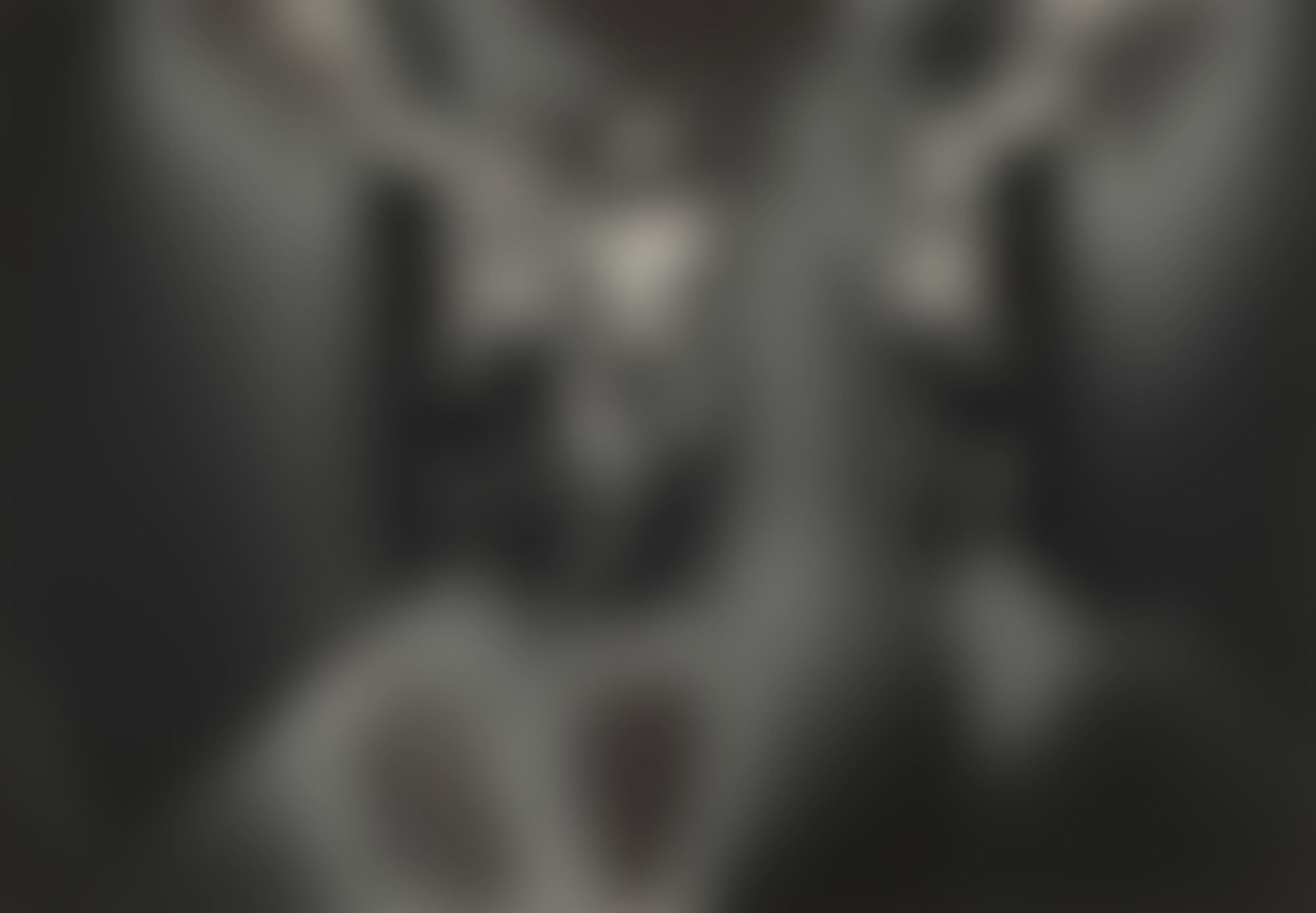 Object Image
