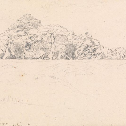 Windsor Forest