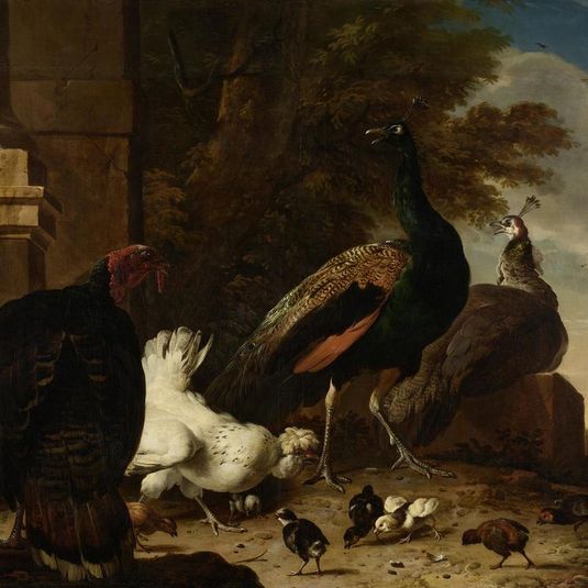 A Hen with Peacocks and a Turkey