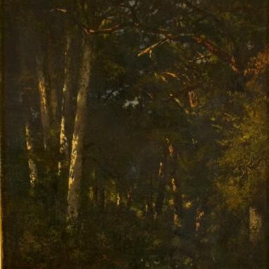 In het bos van Fontainebleau (Forêt de Fontainebleau)