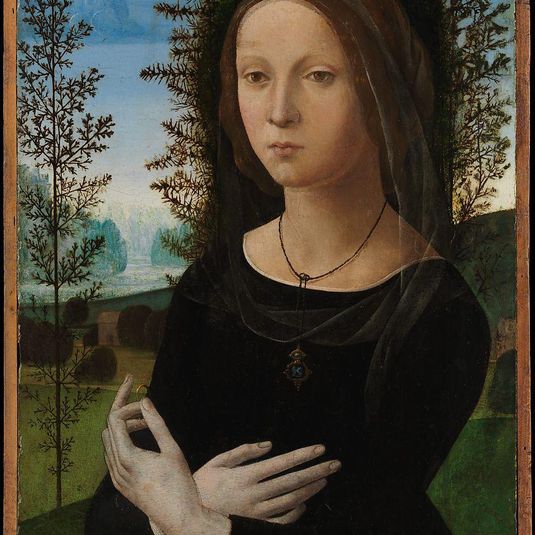 Portrait of a Young Woman