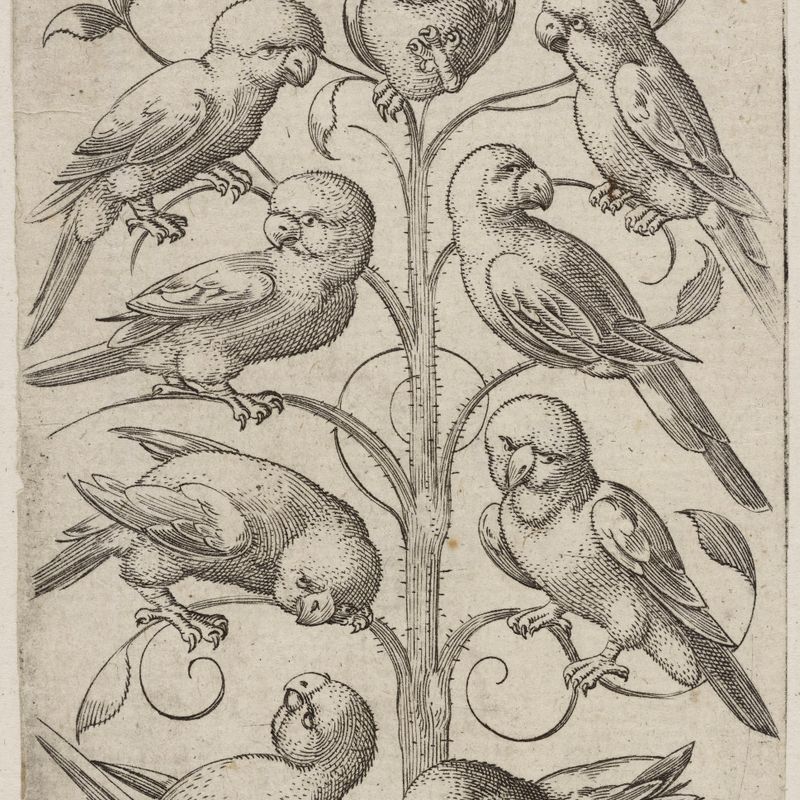 Neuf de Coeur (Bartsch 334)