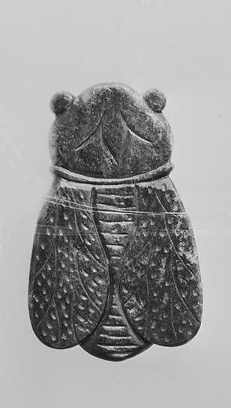 Object Image
