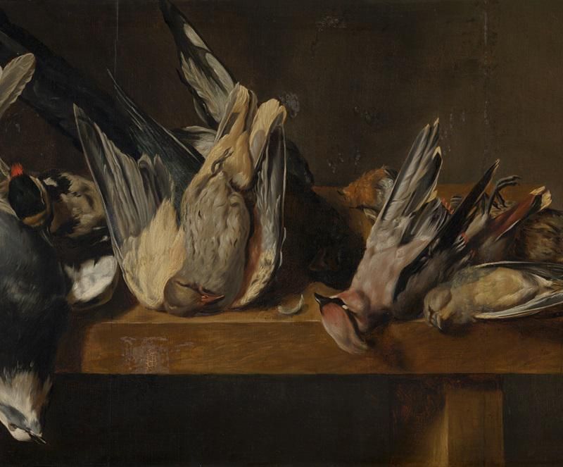 Dead Birds