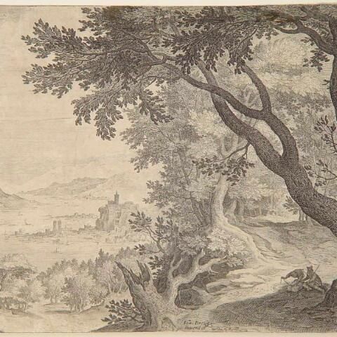 Landschap