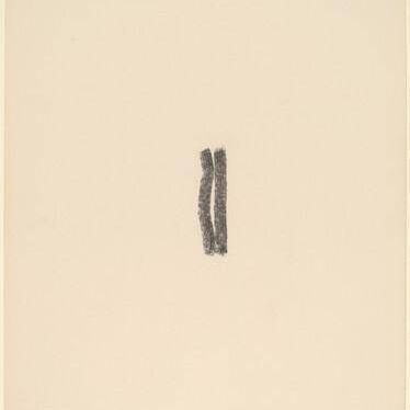 Charcoal Verticals