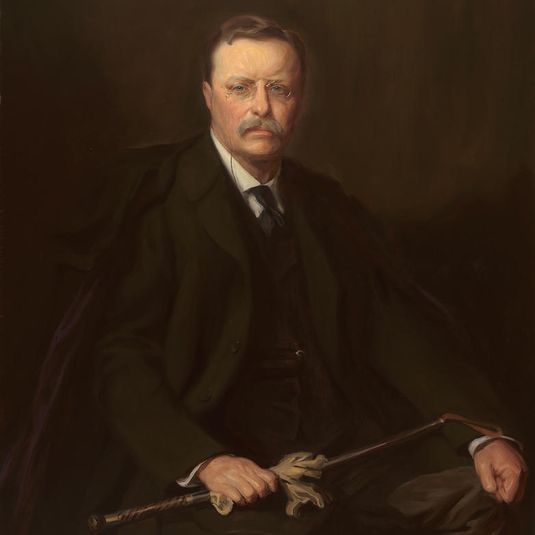 Visual Description of Theodore Roosevelt by Adrian Lamb