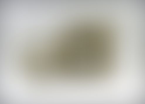 Object Image