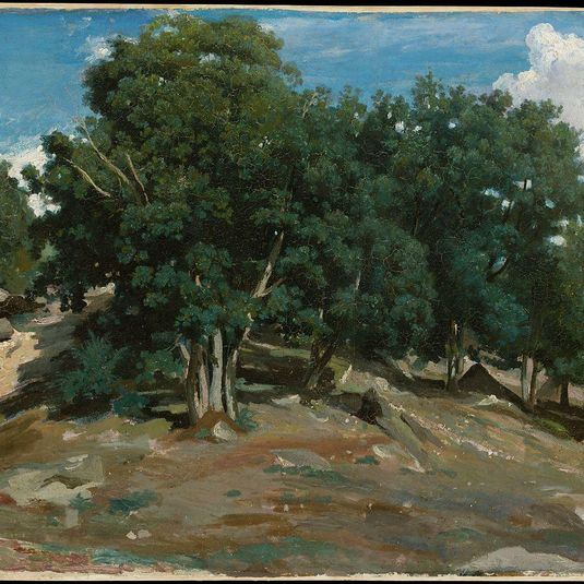 Fontainebleau: Oak Trees at Bas-Bréau