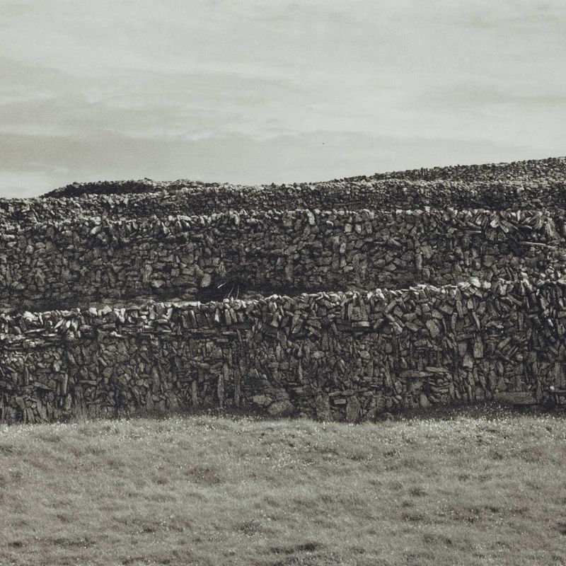 Aran