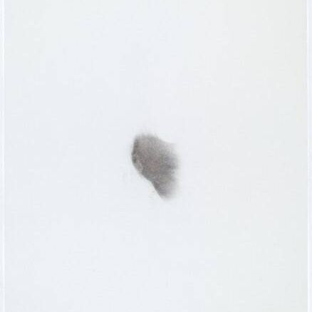 Stains: Gunpowder (DuPont superfine)