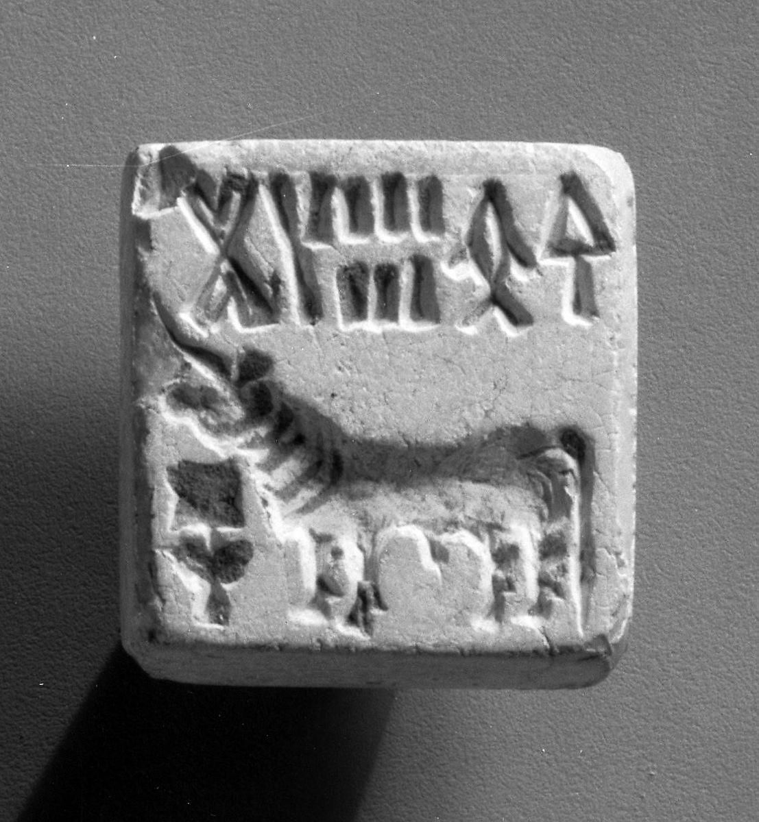 Object Image