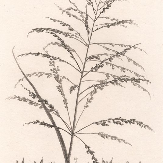 Tett