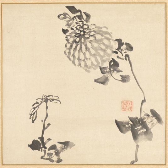Chrysanthemums