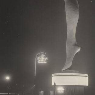 Leg of Sanderson's