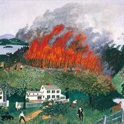 A Fire in the Woods