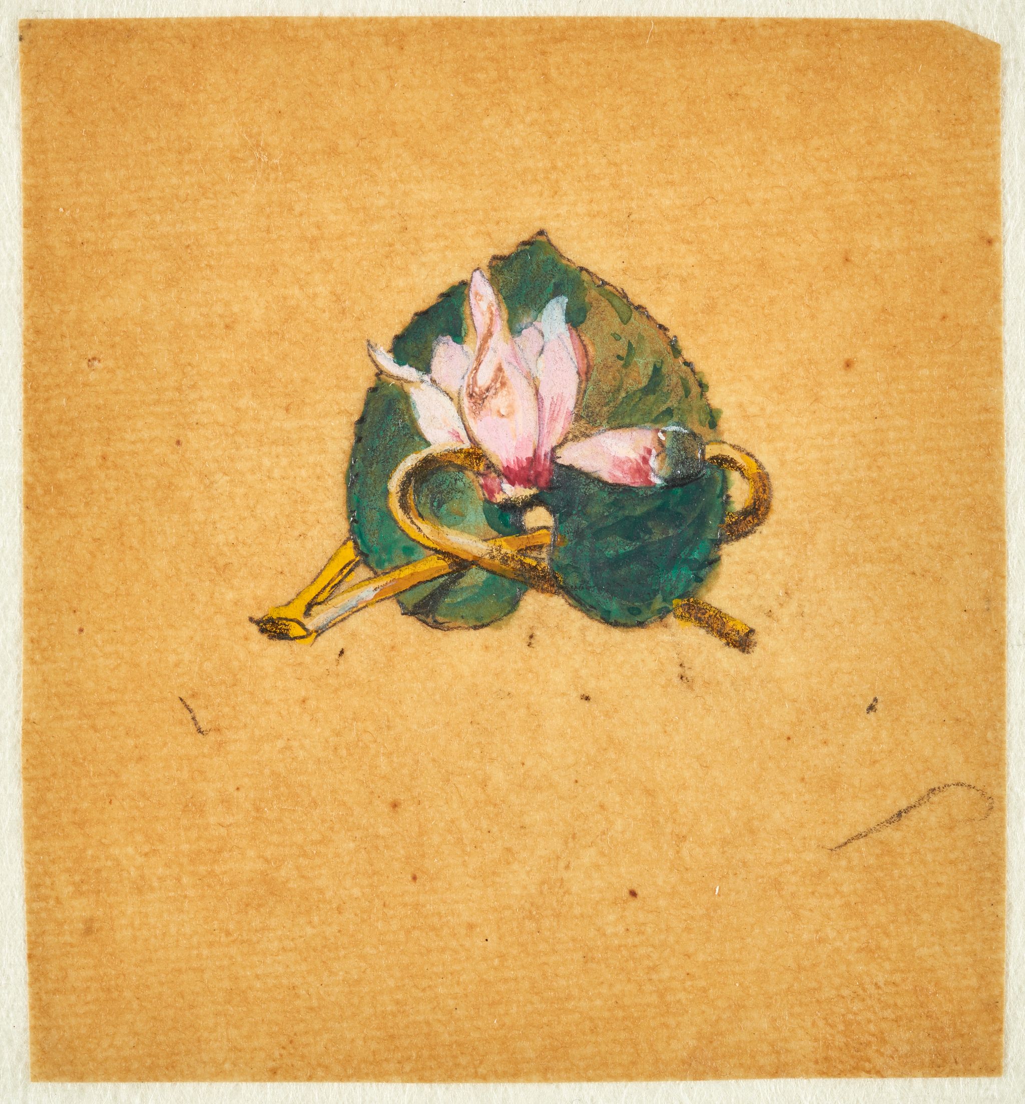 Object Image