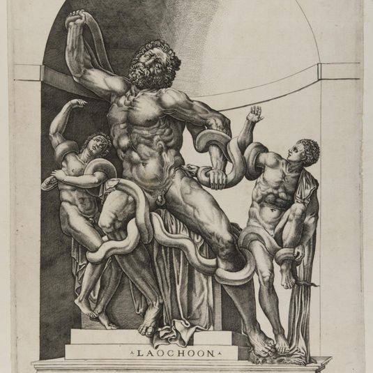 Laocoön and His Sons (The Laocoön Group)