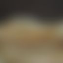 Object Image Thumbnail