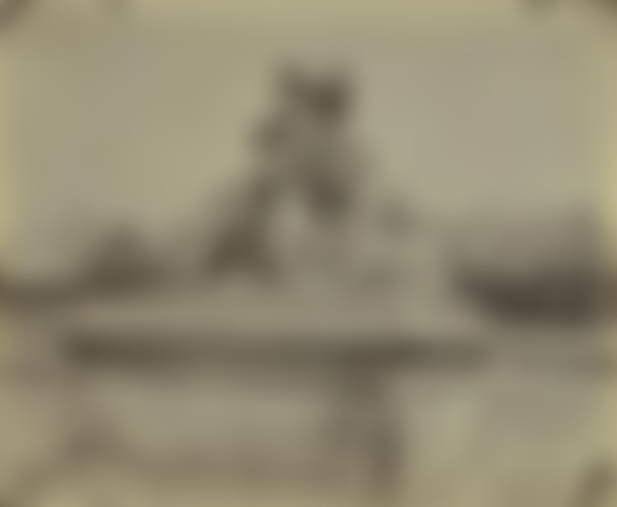 Object Image