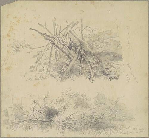 Brush; and Hudson Brush Fence