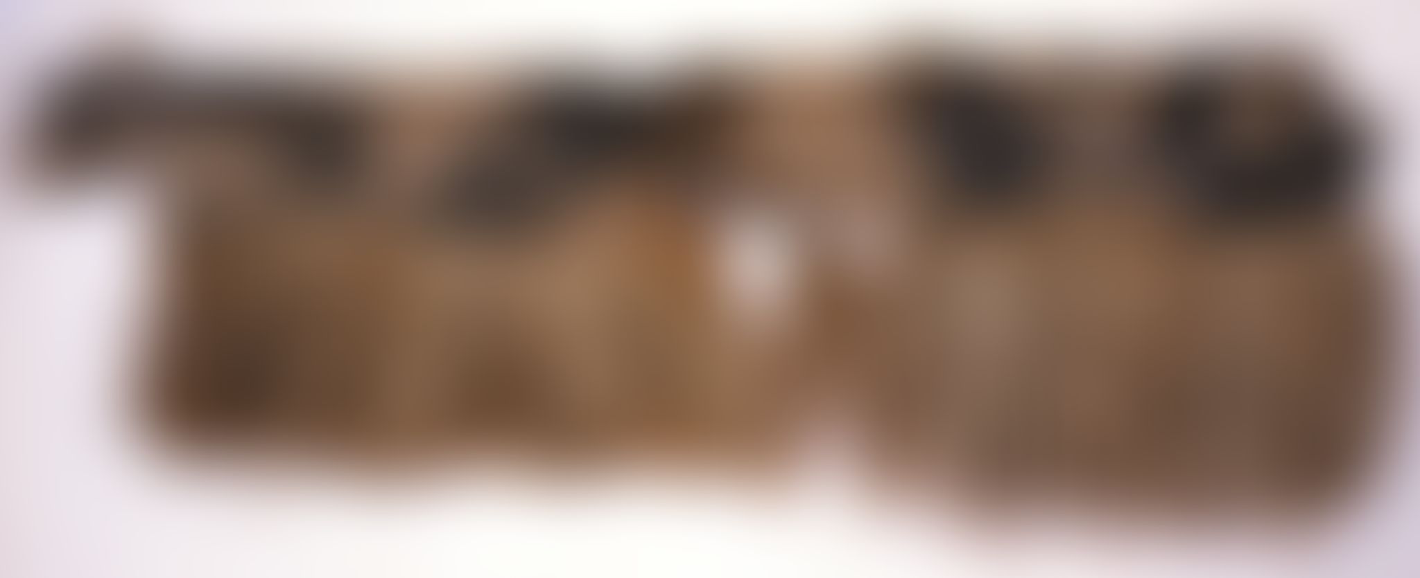 Object Image