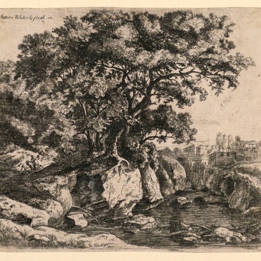 Large Trees on Rocks by a Shallow Stream