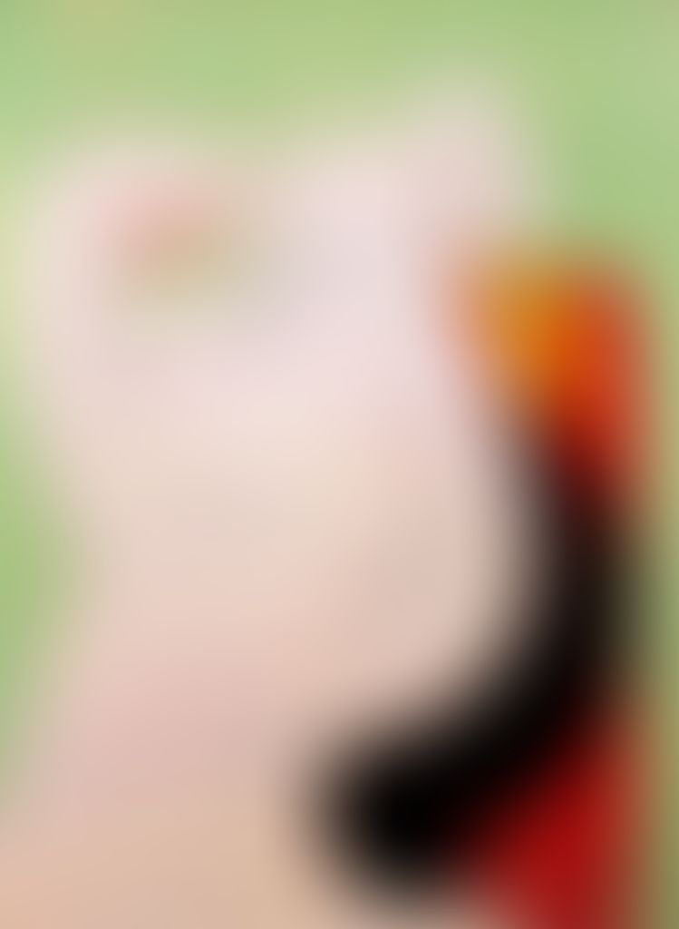 Object Image