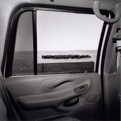 Lee Friedlander