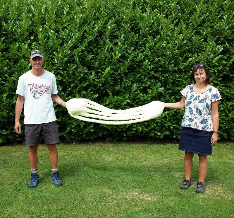 Social Distancing Gloves