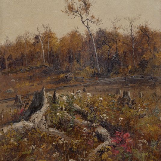 Landscape