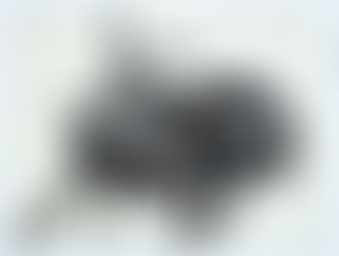 Object Image
