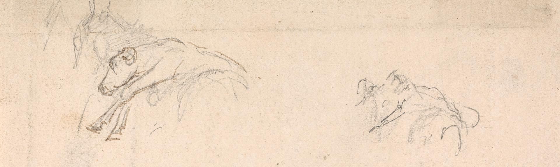 Study of Horses Carrying Calves on their Backs