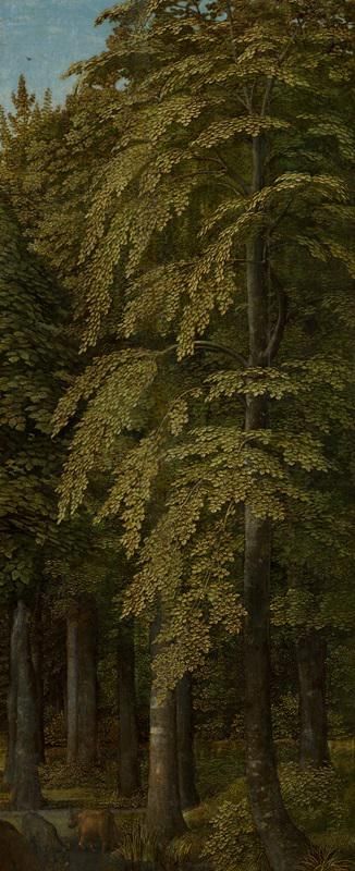 Wooded Landscape