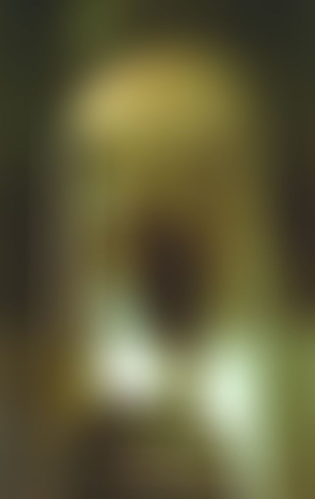 Object Image
