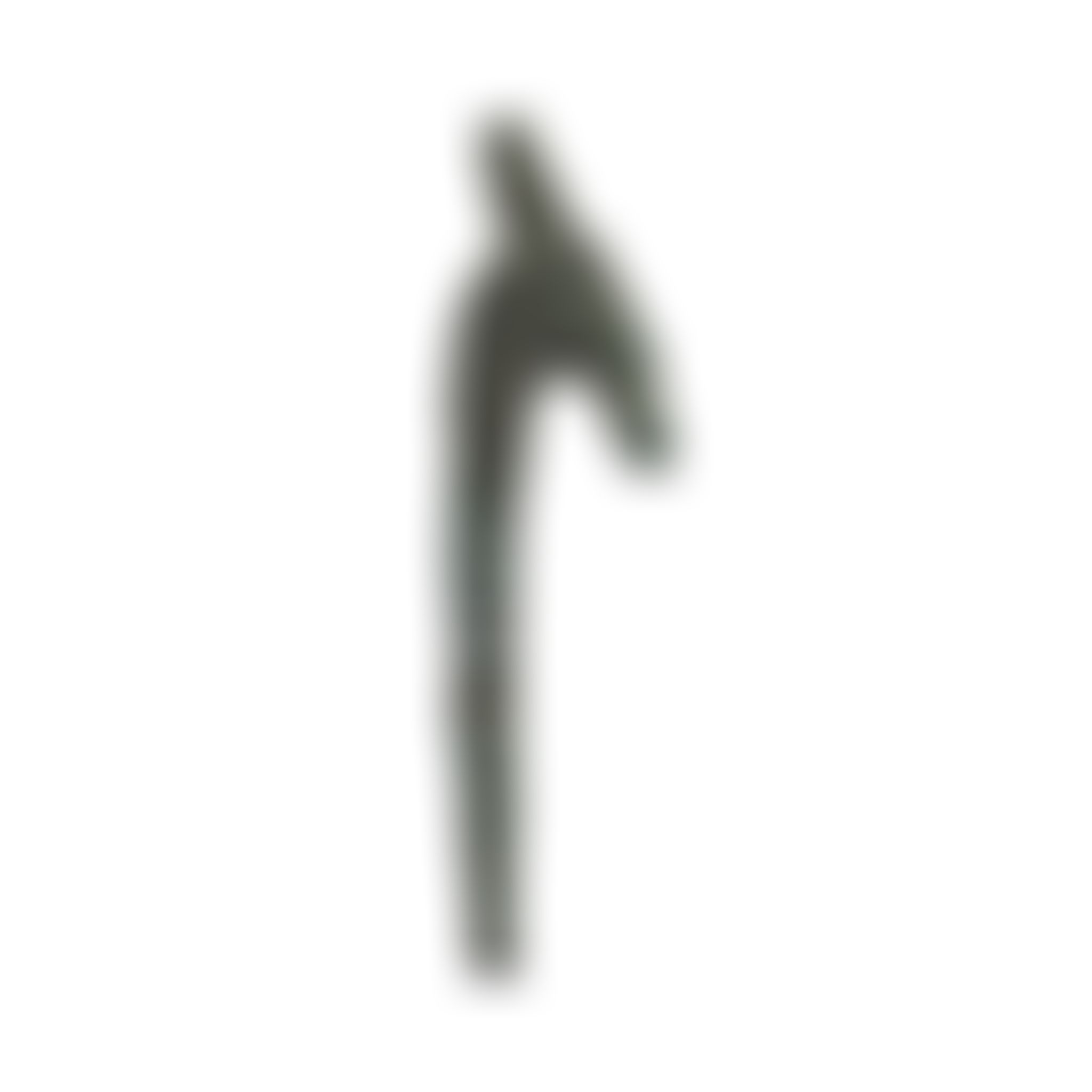 Object Image