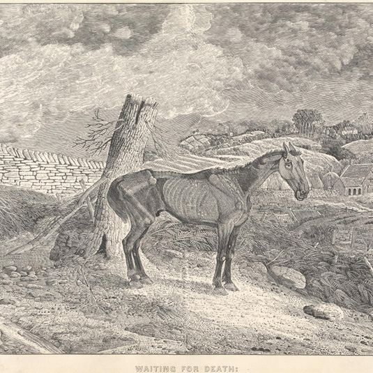 [Horses] Waiting for Death