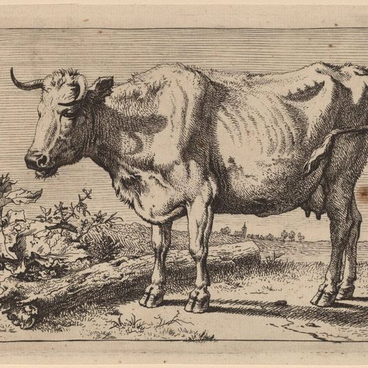 Standing Cow (Cow with a Crumpled Horn)