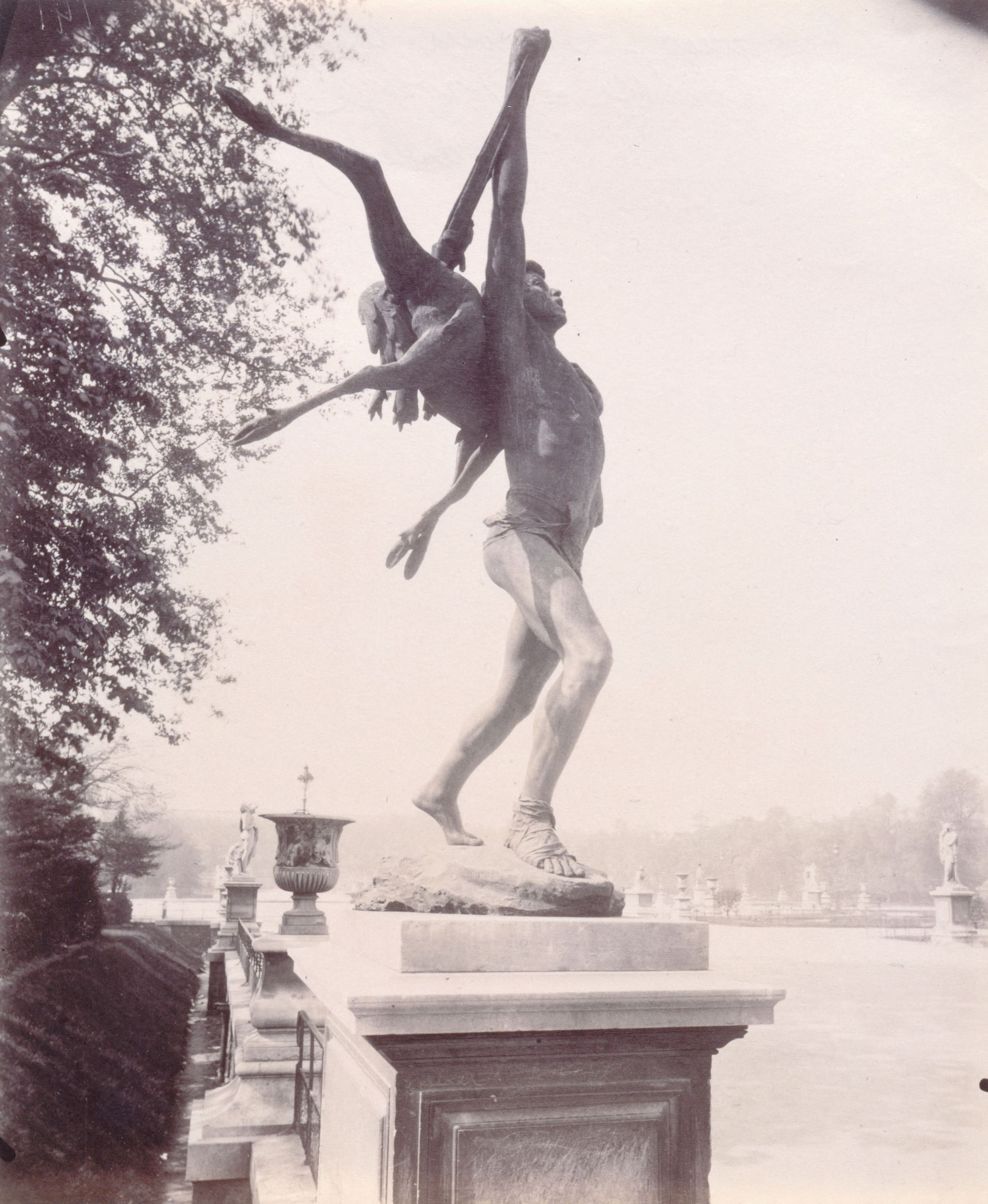 Object Image