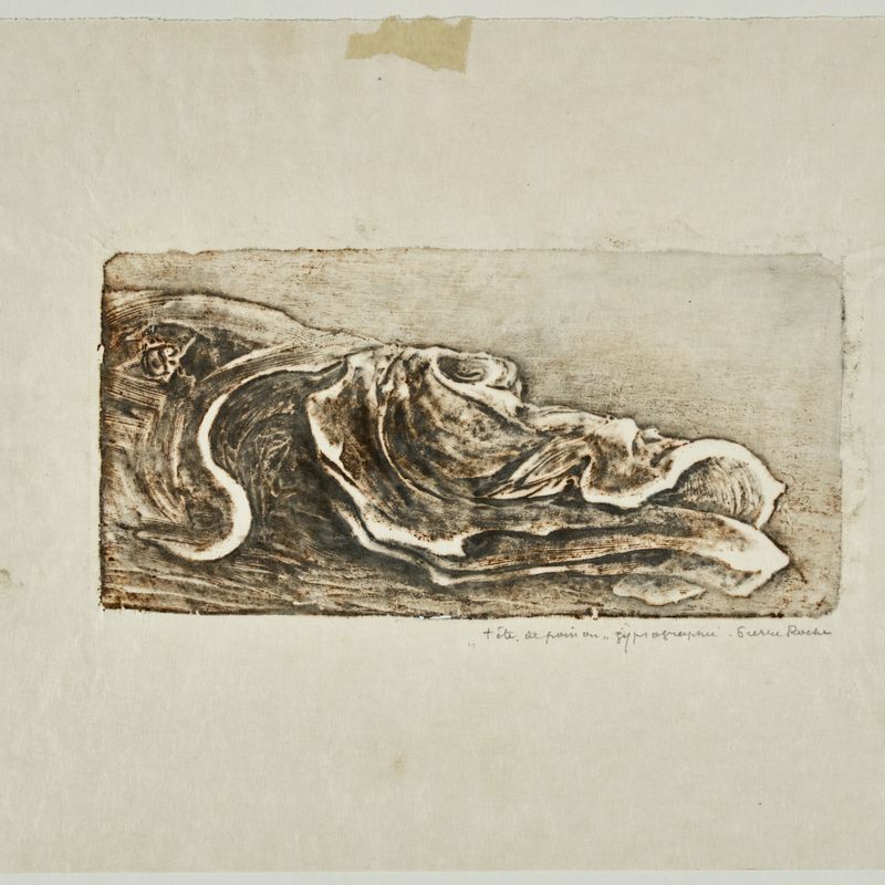 Tête de poisson ("d'après Dulac")